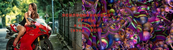 дмт Сафоново