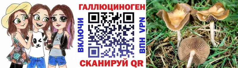 Галлюциногенные грибы Magic Shrooms  Купить закладки  Красновишерск 